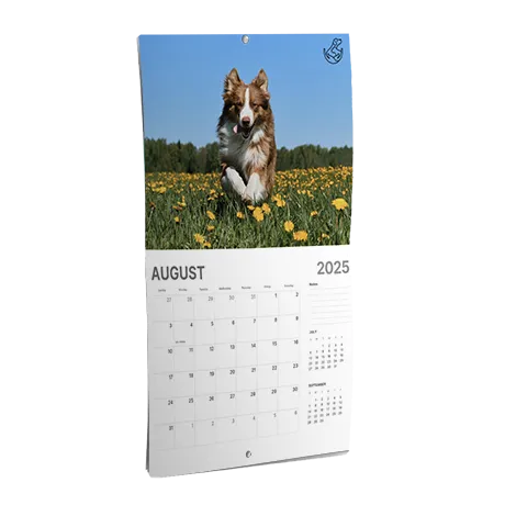 Calendriers muraux avec reliure par agrafage